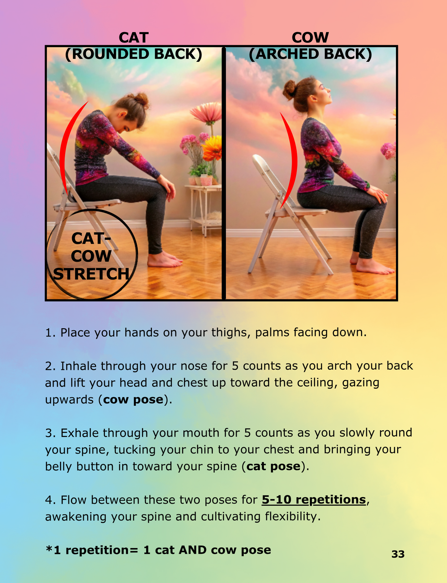 Chair Workouts & Low-Impact Cardio for Seniors | E-Book