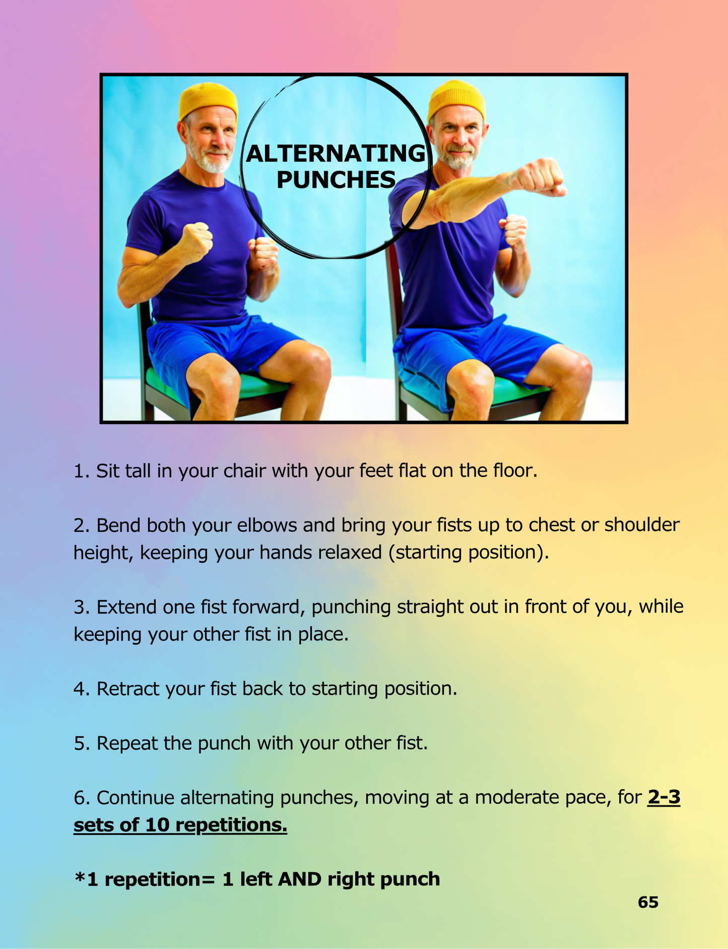 Chair Workouts & Low-Impact Cardio for Seniors | E-Book