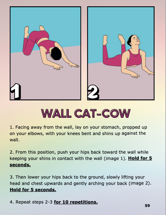 Wall Pilates Program for Seniors, Older Adults & Those with Mobility Issues (e-book, digital download)